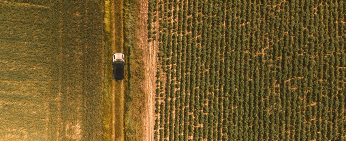 Wyprawa po Smak - w drodze przez pola